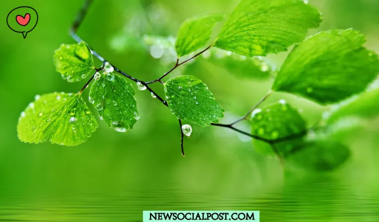 Green Nature Captions for Instagram