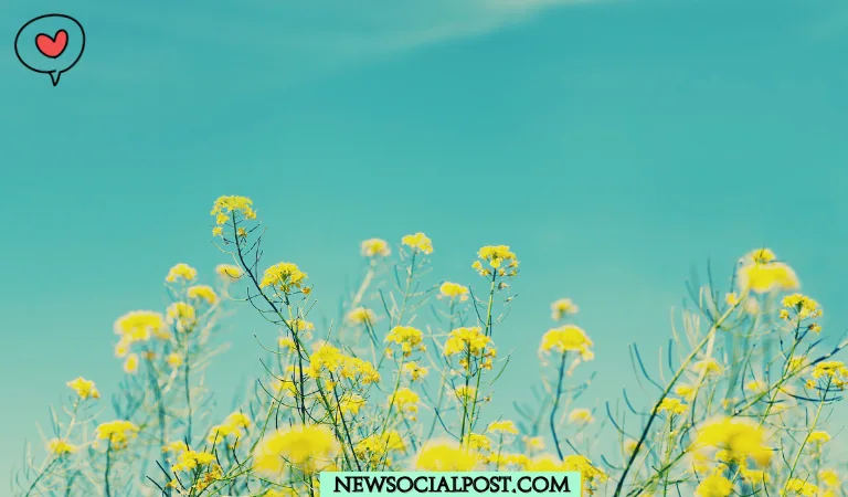 Nature Love Caption for Instagram