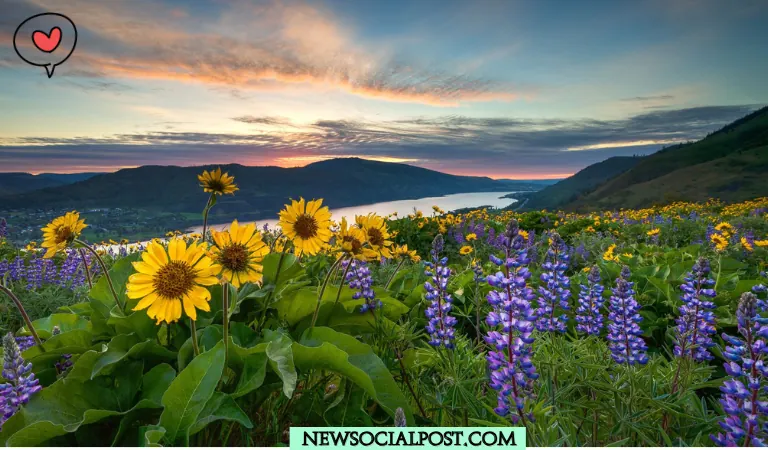 Nature beauty captions for instagram