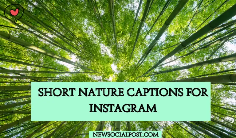 Short Nature Captions for Instagram