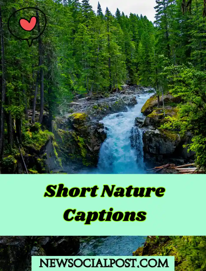 Short Nature Captions